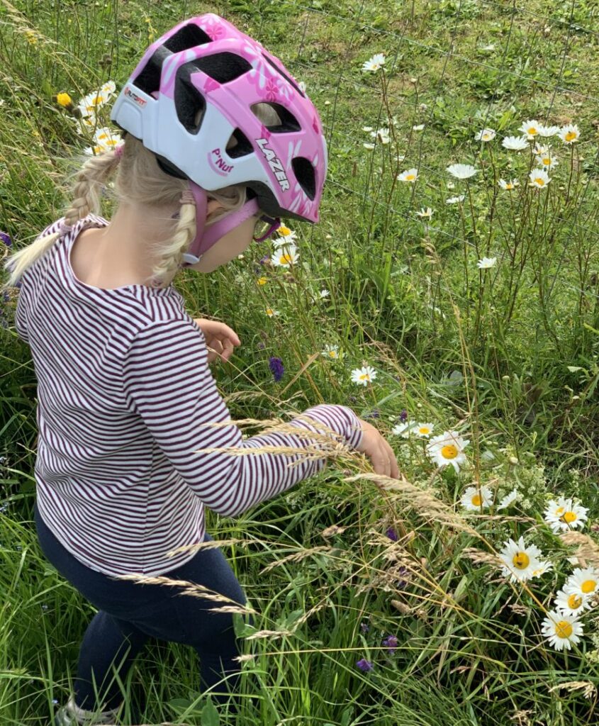 Cykelferie i Danmark på Kulturringen - Sabinas Verden